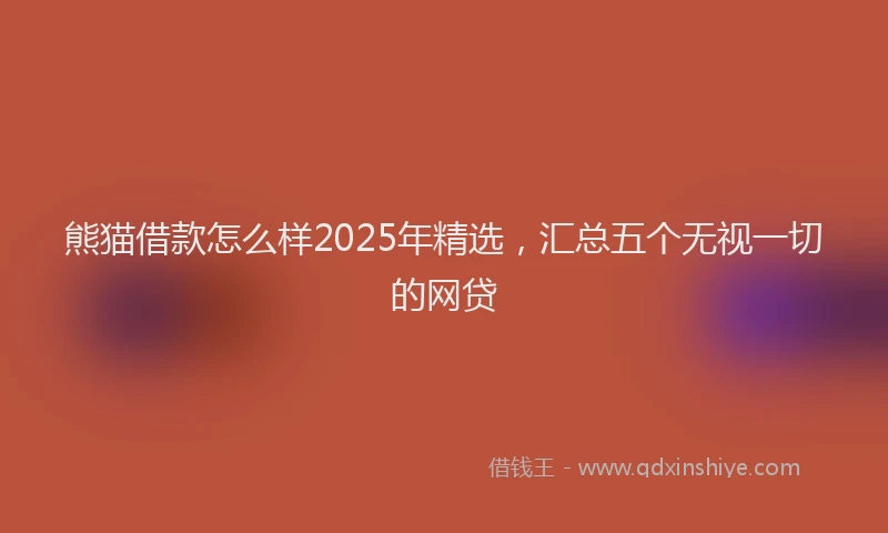熊猫借款怎么样2025年精选，汇总五个无视一切的网贷