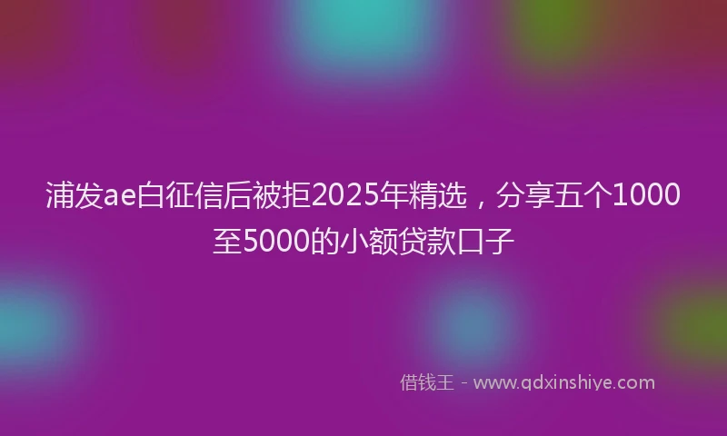 浦发ae白征信后被拒2025年精选，分享五个1000至5000的小额贷款口子