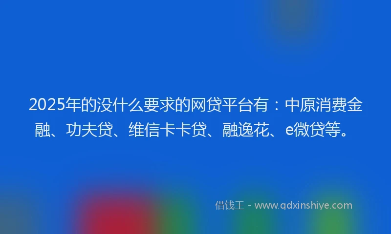 2025年的没什么要求的网贷平台有：中原消费金融、功夫贷、维信卡卡贷、融逸花、e微贷等。