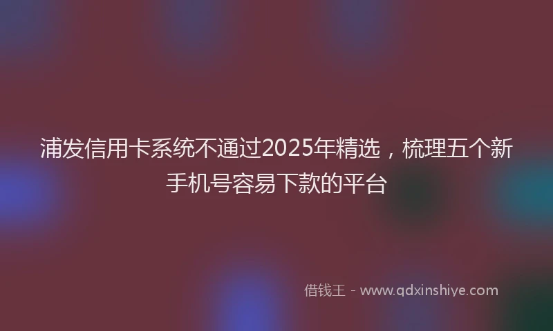 浦发信用卡系统不通过2025年精选，梳理五个新手机号容易下款的平台