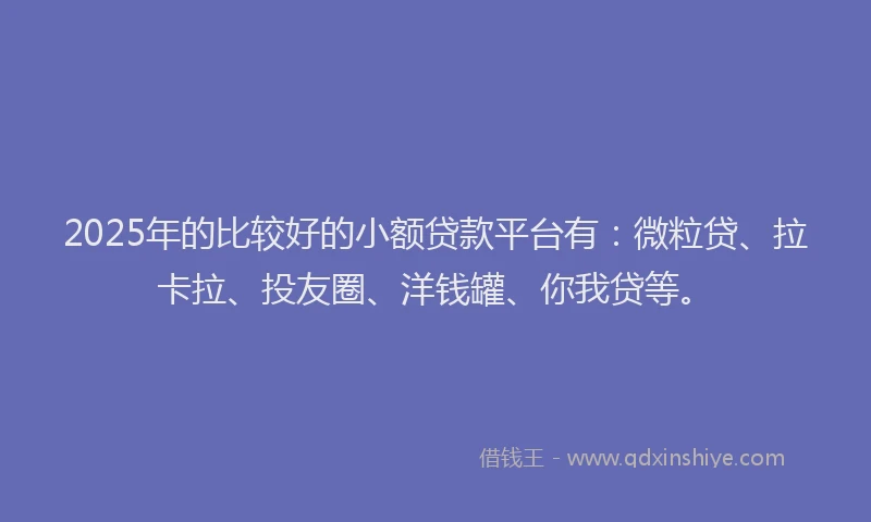 2025年的比较好的小额贷款平台有：微粒贷、拉卡拉、投友圈、洋钱罐、你我贷等。