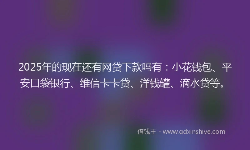 2025年的现在还有网贷下款吗有：小花钱包、平安口袋银行、维信卡卡贷、洋钱罐、滴水贷等。