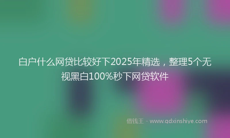 白户什么网贷比较好下2025年精选，整理5个无视黑白100%秒下网贷软件