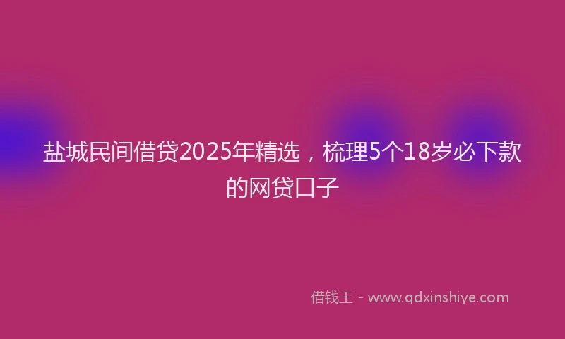 盐城民间借贷2025年精选，梳理5个18岁必下款的网贷口子