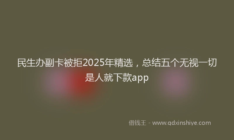 民生办副卡被拒2025年精选，总结五个无视一切是人就下款app