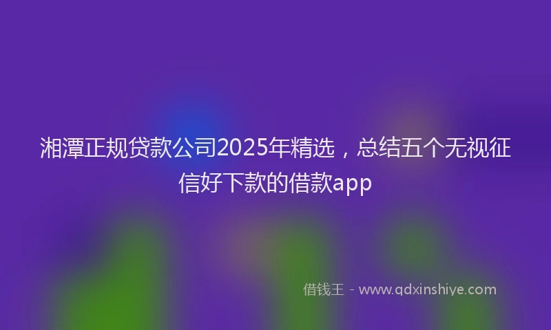 湘潭正规贷款公司2025年精选，总结五个无视征信好下款的借款app