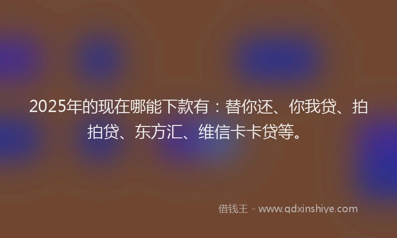 2025年的现在哪能下款有：替你还、你我贷、拍拍贷、东方汇、维信卡卡贷等。