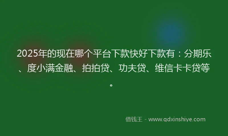 2025年的现在哪个平台下款快好下款有：分期乐、度小满金融、拍拍贷、功夫贷、维信卡卡贷等。
