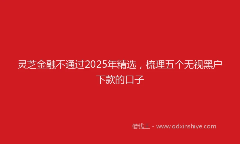 灵芝金融不通过2025年精选，梳理五个无视黑户下款的口子