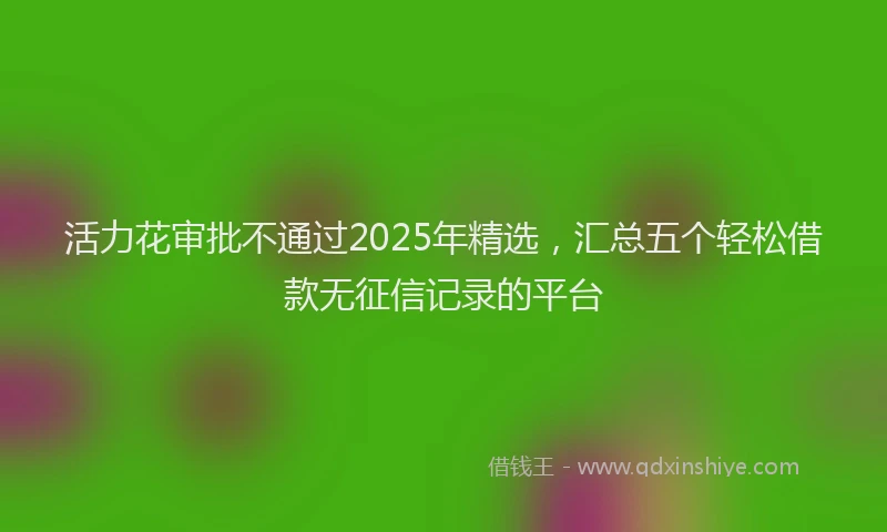 活力花审批不通过2025年精选，汇总五个轻松借款无征信记录的平台