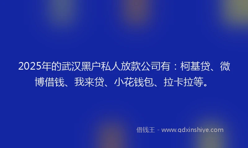 2025年的武汉黑户私人放款公司有：柯基贷、微博借钱、我来贷、小花钱包、拉卡拉等。