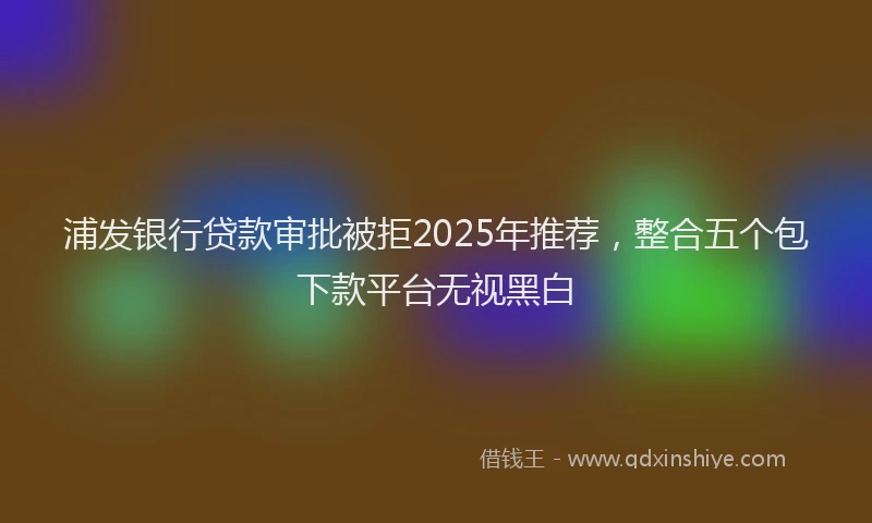 浦发银行贷款审批被拒2025年推荐，整合五个包下款平台无视黑白