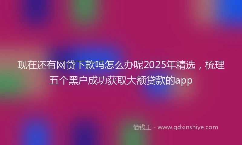 现在还有网贷下款吗怎么办呢2025年精选，梳理五个黑户成功获取大额贷款的app