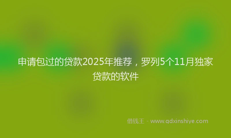 申请包过的贷款2025年推荐，罗列5个11月独家贷款的软件