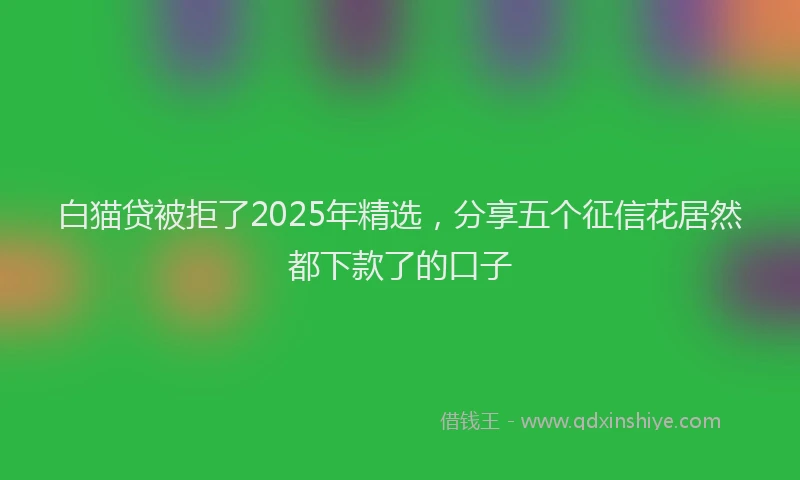 白猫贷被拒了2025年精选，分享五个征信花居然都下款了的口子