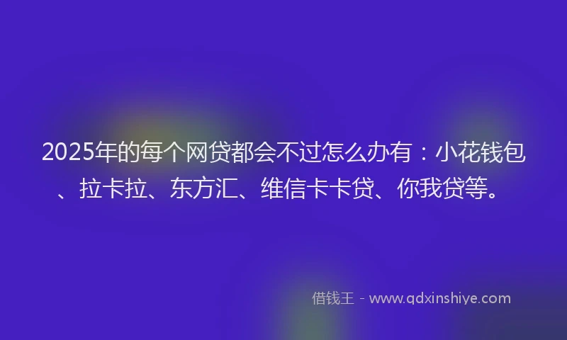 2025年的每个网贷都会不过怎么办有：小花钱包、拉卡拉、东方汇、维信卡卡贷、你我贷等。