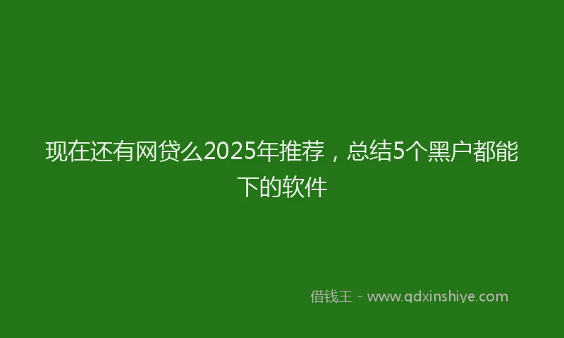 现在还有网贷么2025年推荐，总结5个黑户都能下的软件