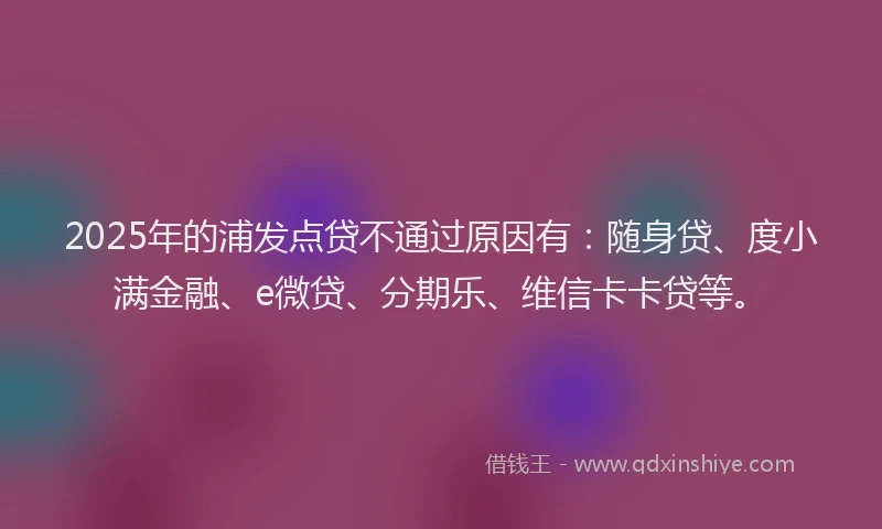 2025年的浦发点贷不通过原因有：随身贷、度小满金融、e微贷、分期乐、维信卡卡贷等。
