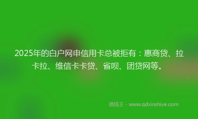 2025年的白户网申信用卡总被拒有：惠商贷、拉卡拉、维信卡卡贷、省呗、团贷网等。