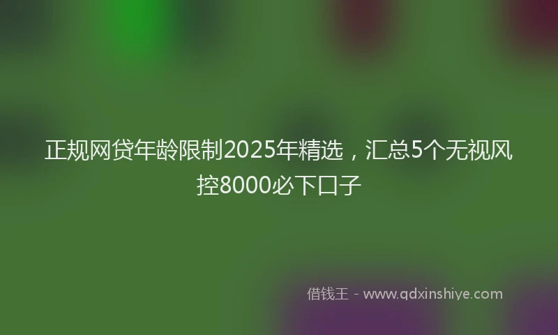 正规网贷年龄限制2025年精选，汇总5个无视风控8000必下口子