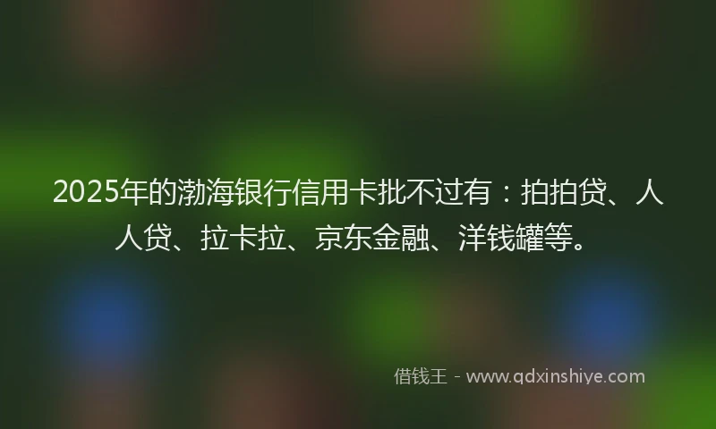 2025年的渤海银行信用卡批不过有：拍拍贷、人人贷、拉卡拉、京东金融、洋钱罐等。