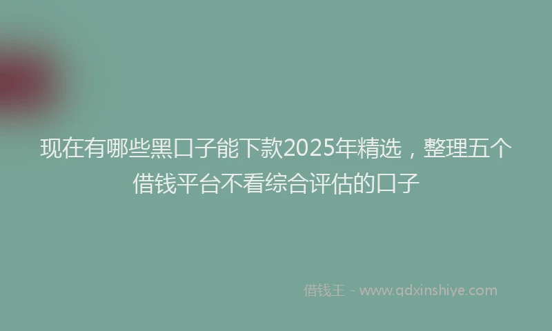 现在有哪些黑口子能下款2025年精选，整理五个借钱平台不看综合评估的口子