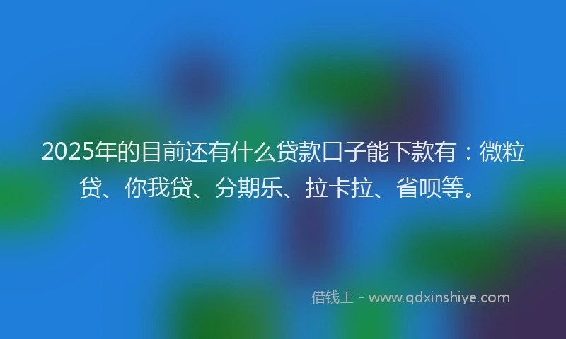 2025年的目前还有什么贷款口子能下款有：微粒贷、你我贷、分期乐、拉卡拉、省呗等。