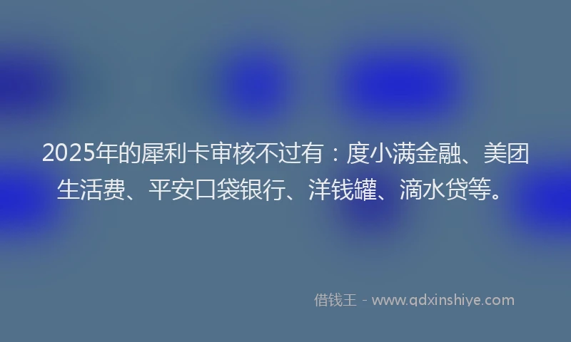 2025年的犀利卡审核不过有：度小满金融、美团生活费、平安口袋银行、洋钱罐、滴水贷等。