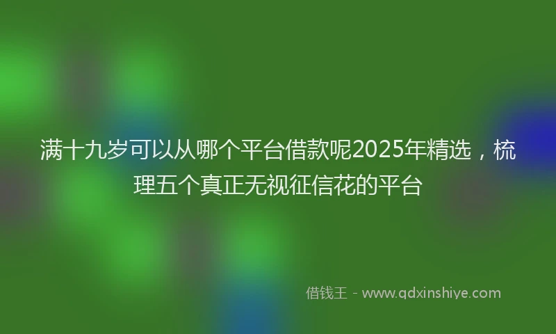 满十九岁可以从哪个平台借款呢2025年精选，梳理五个真正无视征信花的平台