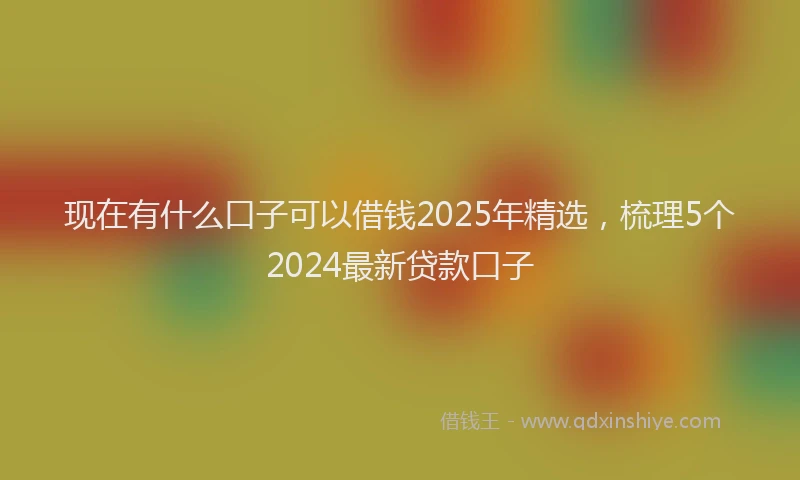 现在有什么口子可以借钱2025年精选，梳理5个2024最新贷款口子