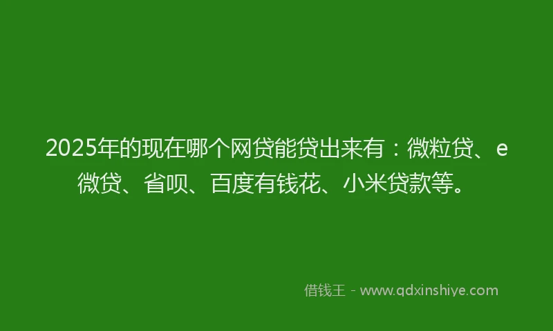 2025年的现在哪个网贷能贷出来有：微粒贷、e微贷、省呗、百度有钱花、小米贷款等。
