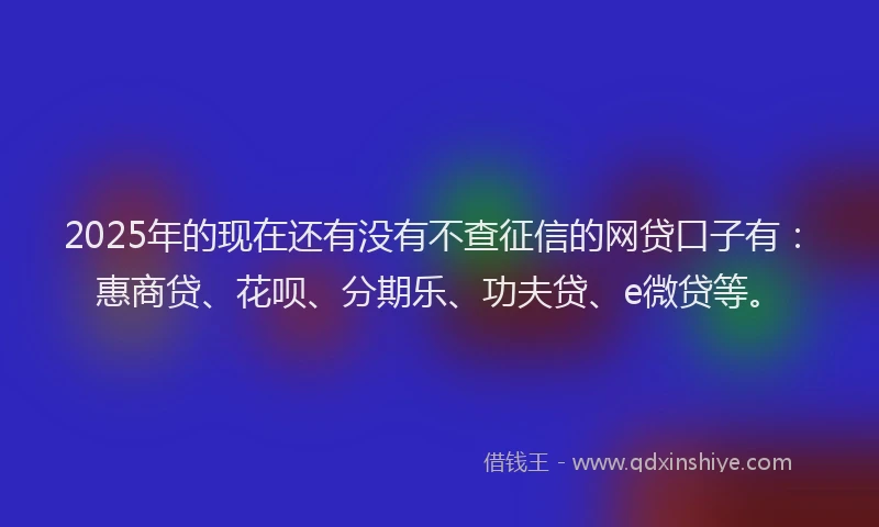 2025年的现在还有没有不查征信的网贷口子有：惠商贷、花呗、分期乐、功夫贷、e微贷等。