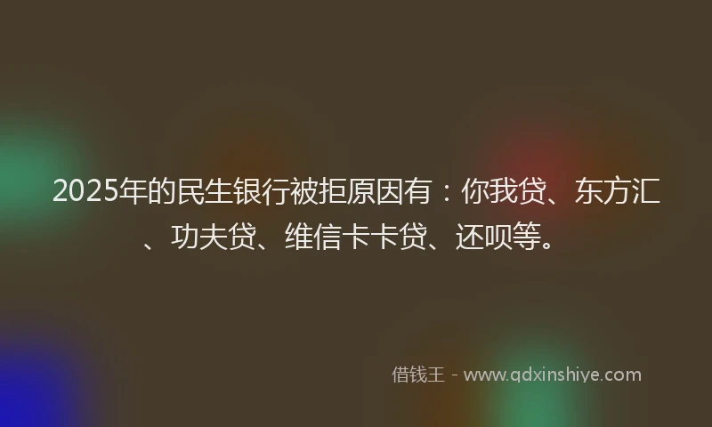 2025年的民生银行被拒原因有：你我贷、东方汇、功夫贷、维信卡卡贷、还呗等。