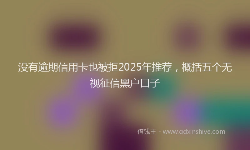 没有逾期信用卡也被拒2025年推荐，概括五个无视征信黑户口子