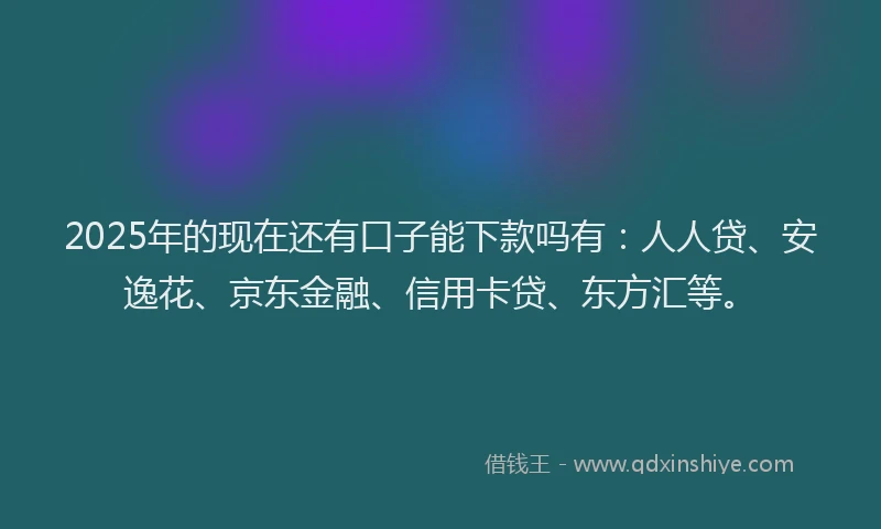 2025年的现在还有口子能下款吗有：人人贷、安逸花、京东金融、信用卡贷、东方汇等。