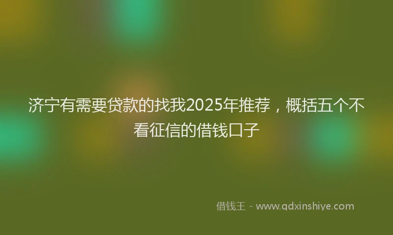 济宁有需要贷款的找我2025年推荐，概括五个不看征信的借钱口子
