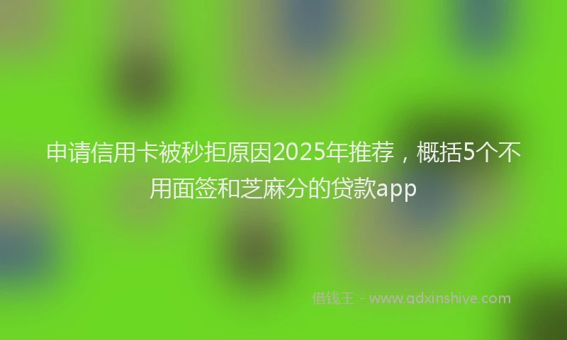 申请信用卡被秒拒原因2025年推荐，概括5个不用面签和芝麻分的贷款app