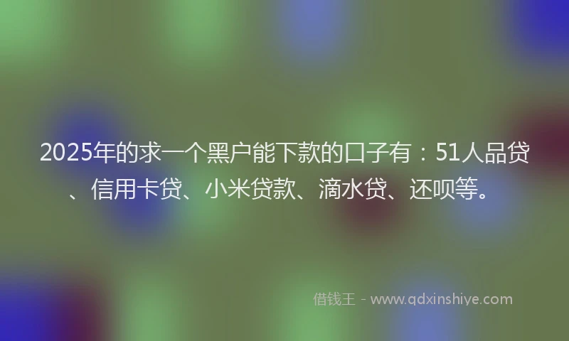 2025年的求一个黑户能下款的口子有：51人品贷、信用卡贷、小米贷款、滴水贷、还呗等。