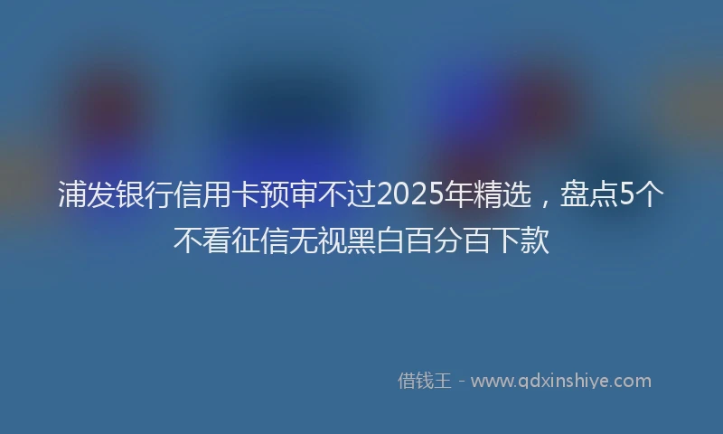 浦发银行信用卡预审不过2025年精选，盘点5个不看征信无视黑白百分百下款