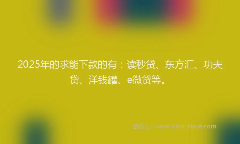 2025年的求能下款的有：读秒贷、东方汇、功夫贷、洋钱罐、e微贷等。