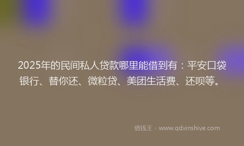 2025年的民间私人贷款哪里能借到有：平安口袋银行、替你还、微粒贷、美团生活费、还呗等。