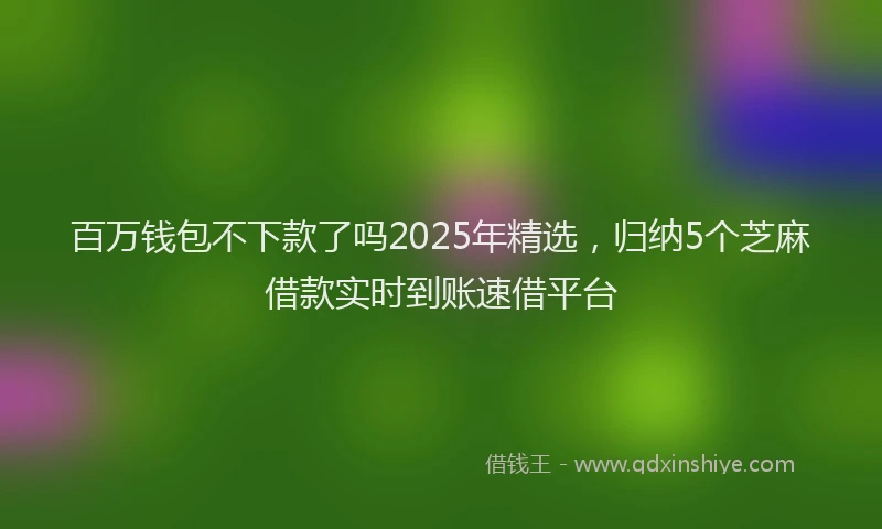 百万钱包不下款了吗2025年精选，归纳5个芝麻借款实时到账速借平台