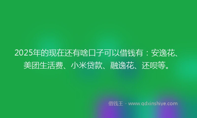 2025年的现在还有啥口子可以借钱有：安逸花、美团生活费、小米贷款、融逸花、还呗等。