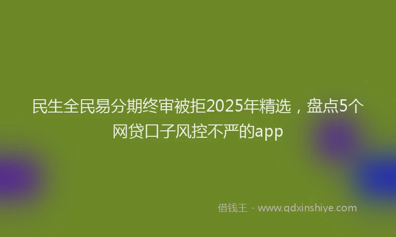 民生全民易分期终审被拒2025年精选，盘点5个网贷口子风控不严的app