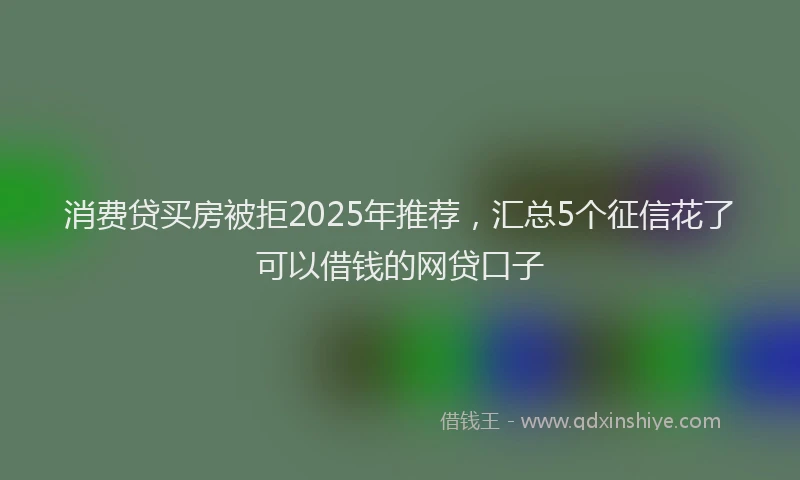 消费贷买房被拒2025年推荐，汇总5个征信花了可以借钱的网贷口子
