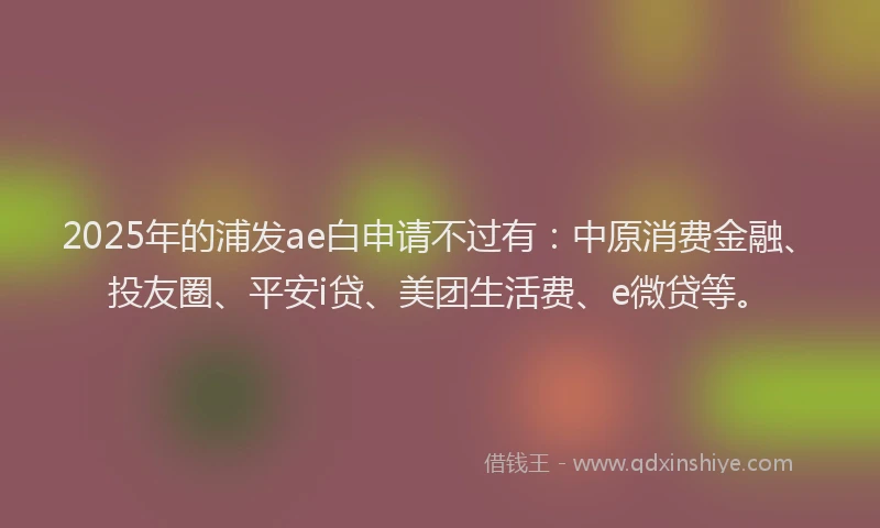 2025年的浦发ae白申请不过有：中原消费金融、投友圈、平安i贷、美团生活费、e微贷等。