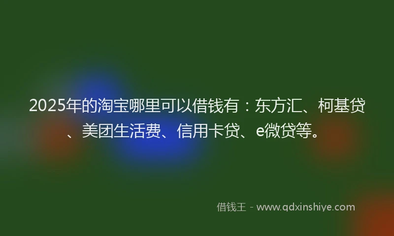 2025年的淘宝哪里可以借钱有：东方汇、柯基贷、美团生活费、信用卡贷、e微贷等。