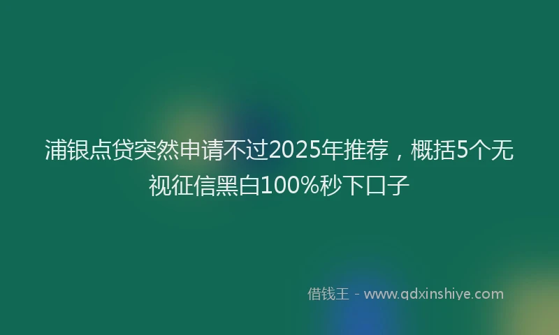 浦银点贷突然申请不过2025年推荐，概括5个无视征信黑白100%秒下口子