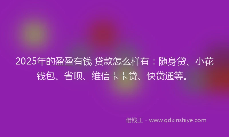 2025年的盈盈有钱 贷款怎么样有：随身贷、小花钱包、省呗、维信卡卡贷、快贷通等。