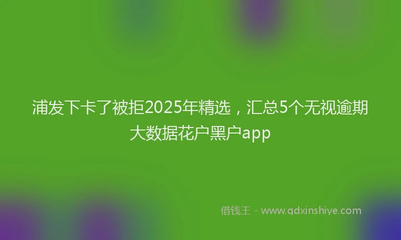 浦发下卡了被拒2025年精选，汇总5个无视逾期大数据花户黑户app